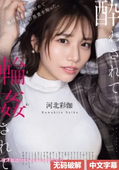 亚洲黄网avメイリン モデルコレクション メ久敬佳园一区高清封面